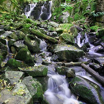 Sagenumwobene Teuelsmühle am Bauersberg