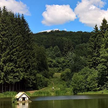 Rothsee am Bauersberg